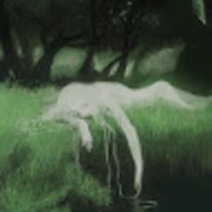 Meet your Posher, Alice